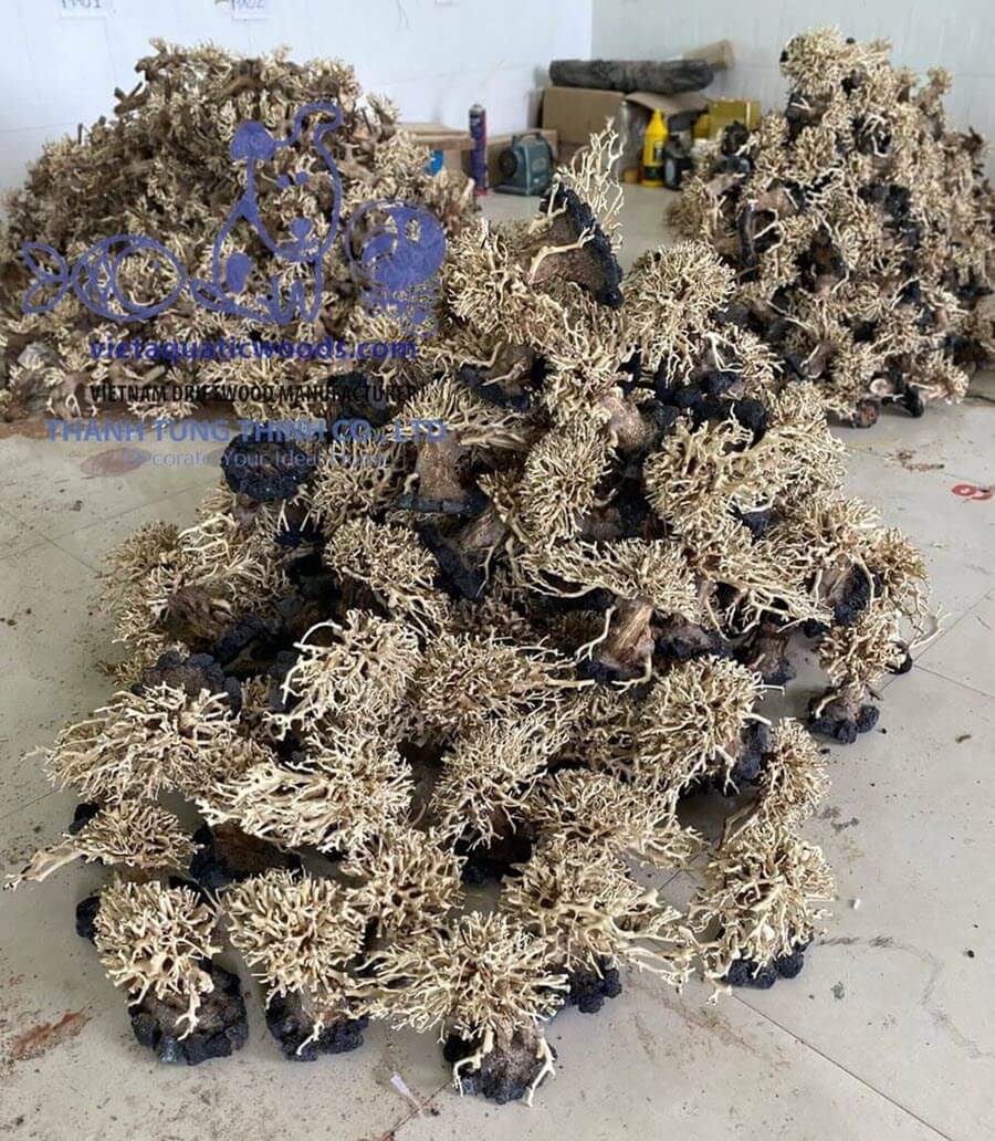 Bonsai driftwood supplier ensures wholesale bonsai driftwood with strict quality control for premium quality