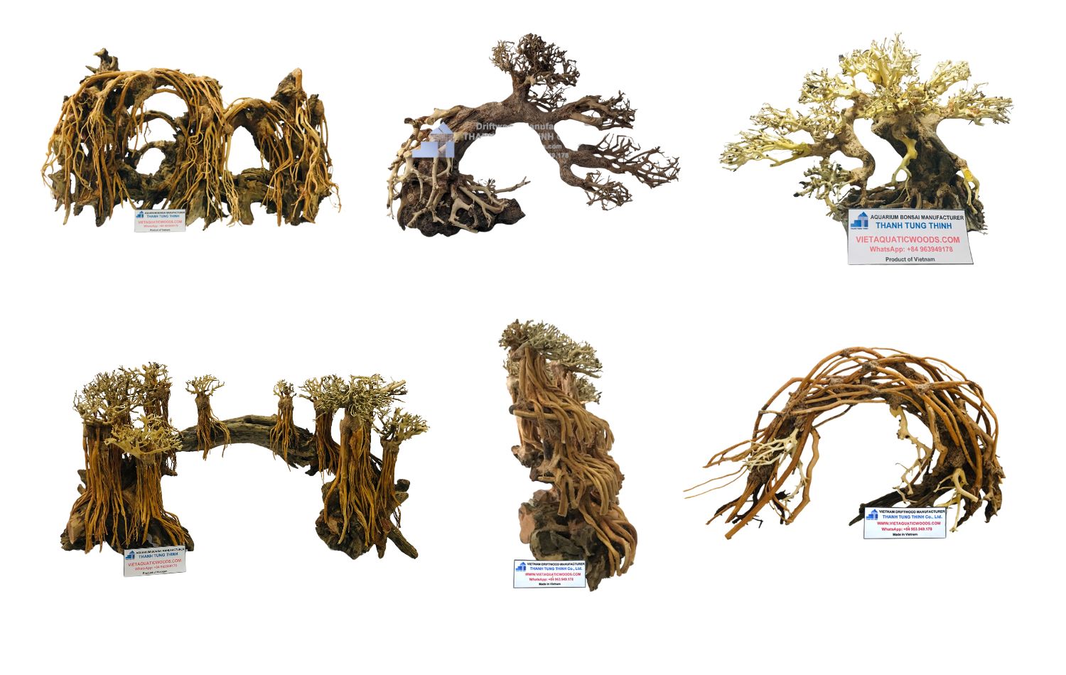 Various types of bonsai driftwood for decorative displays and centerpieces from a trusted manufacturer