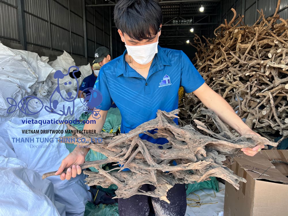 buying-driftwood-from-a-trusted-supplier-is-more-convenient