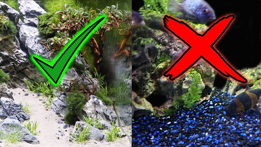 choose-substrates-that-are-suitable-for-your-aquarium-setup