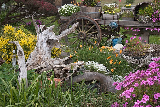 driftwood-garden-decor