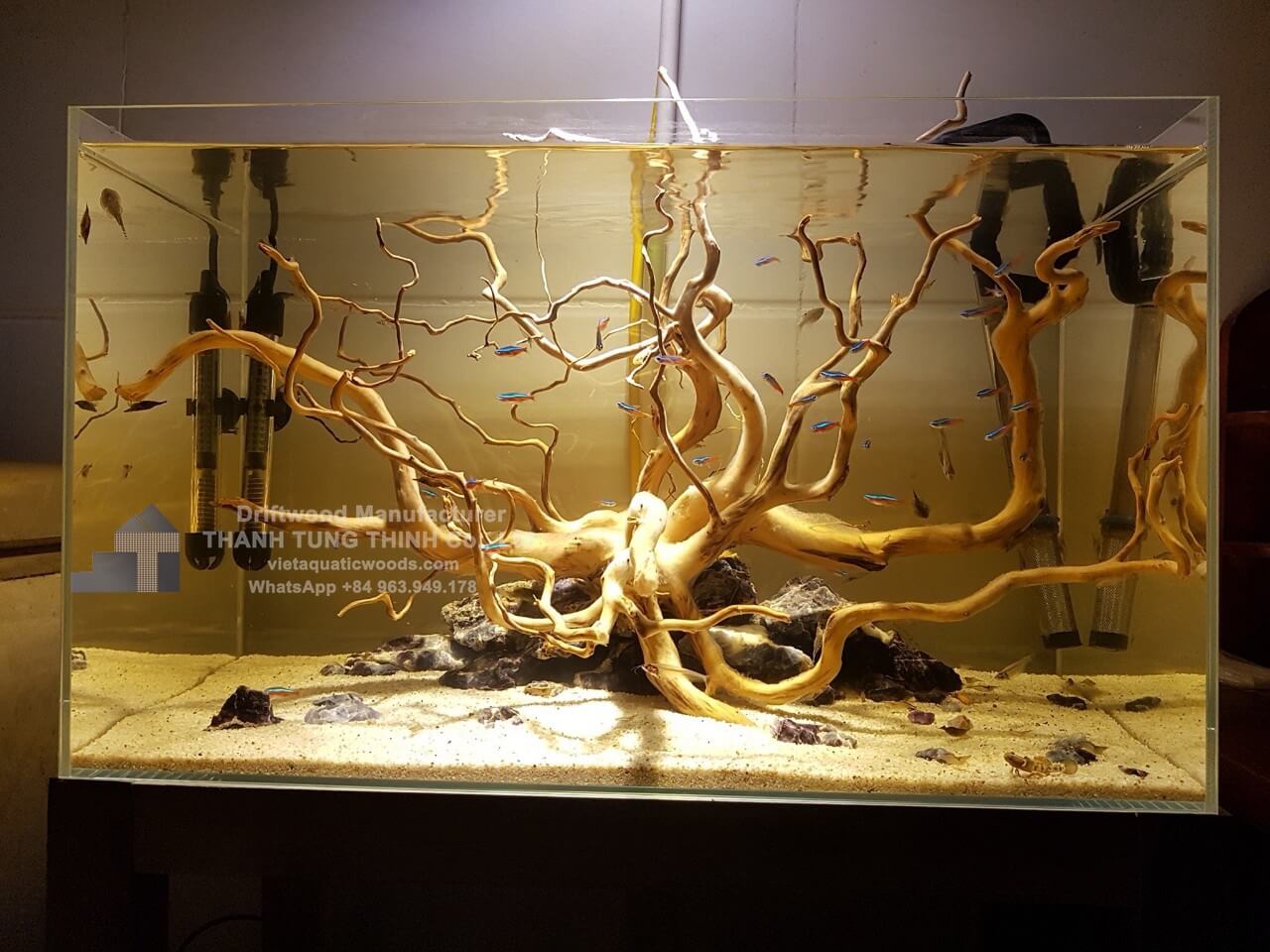 Do Quyen driftwood with intricate, twisted branches, adding a natural and artistic touch to an aquarium aquascape, one of the best natural driftwood for aquariums