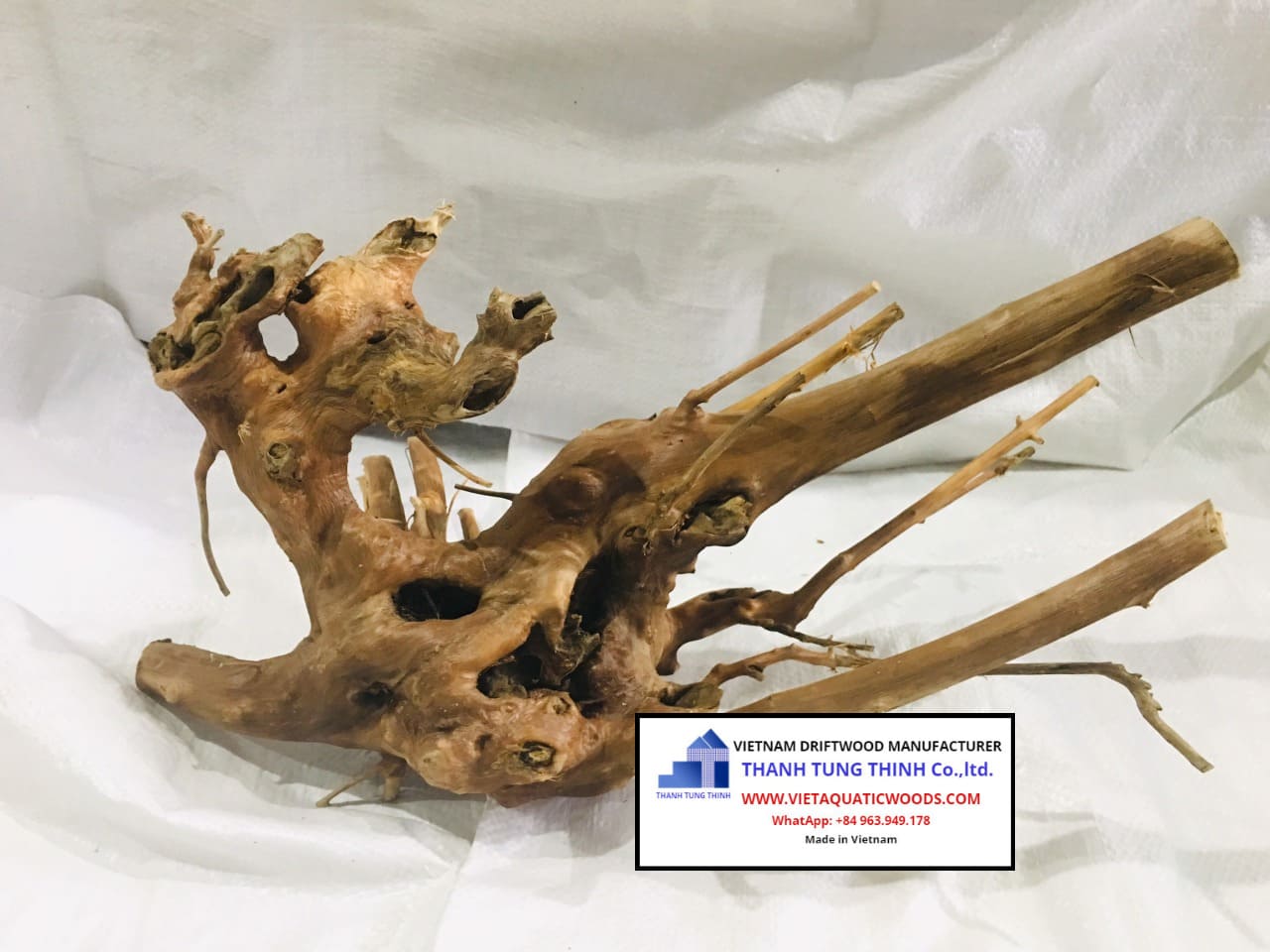 Kim Chi driftwood, an ideal natural driftwood for aquariums, featuring intricate branch structures and a textured surface for stunning aquascapes