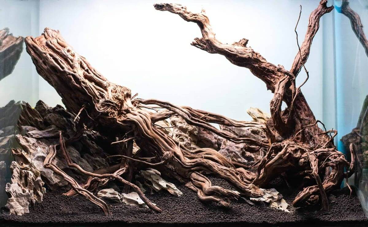 Premium natural driftwood for aquariums – perfect for decorative centerpieces