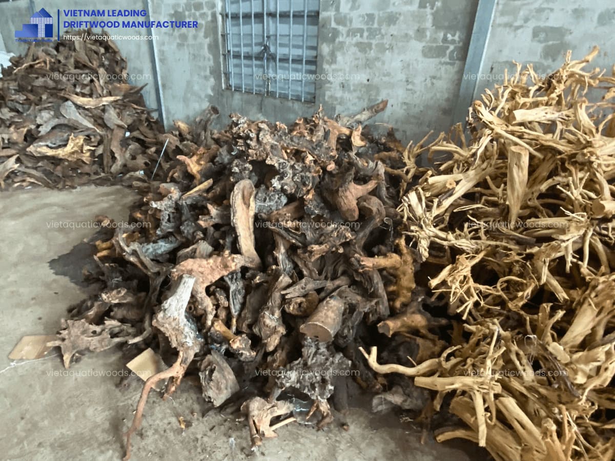 Directly sourced natural driftwood for aquariums from a trusted Vietnamese supplier