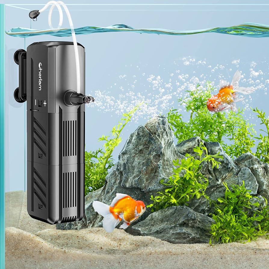 use-filter-to-provide-a-clean-environtment-for-your-fish