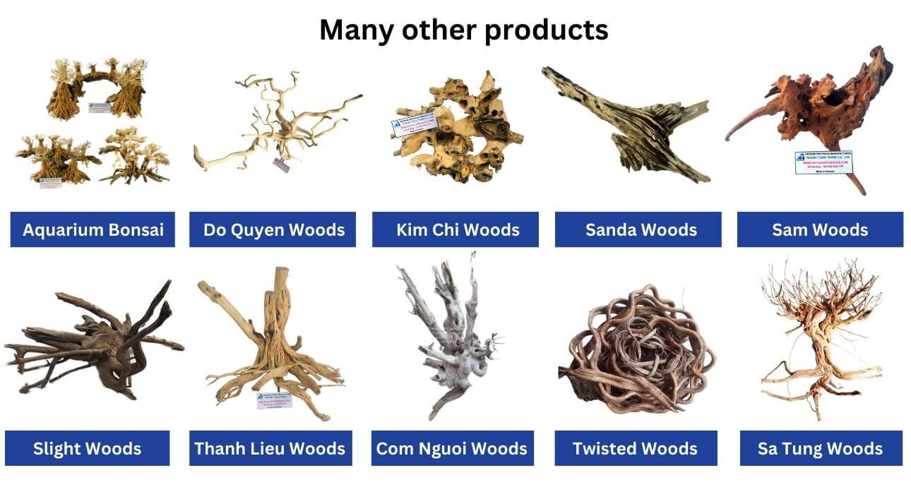 We supply various types of wholesale driftwood