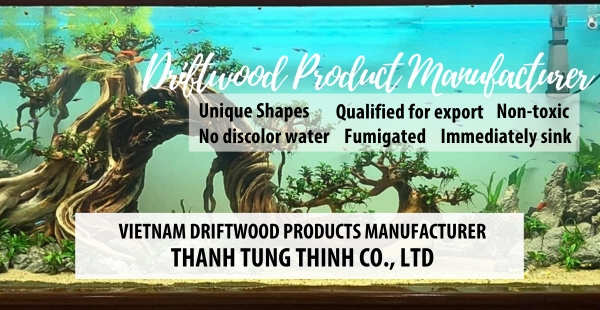 Finding the Perfect Natural Driftwood Manufacturer in Vietnam: Your Ultimate Guide