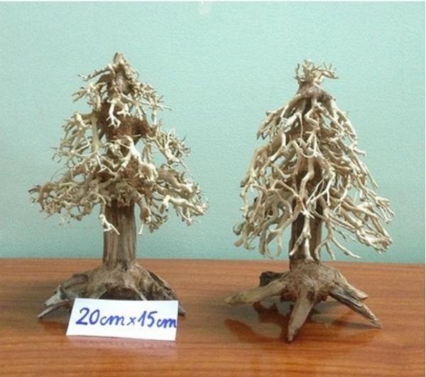 supplier-small-bonsai-woods-7.jpg