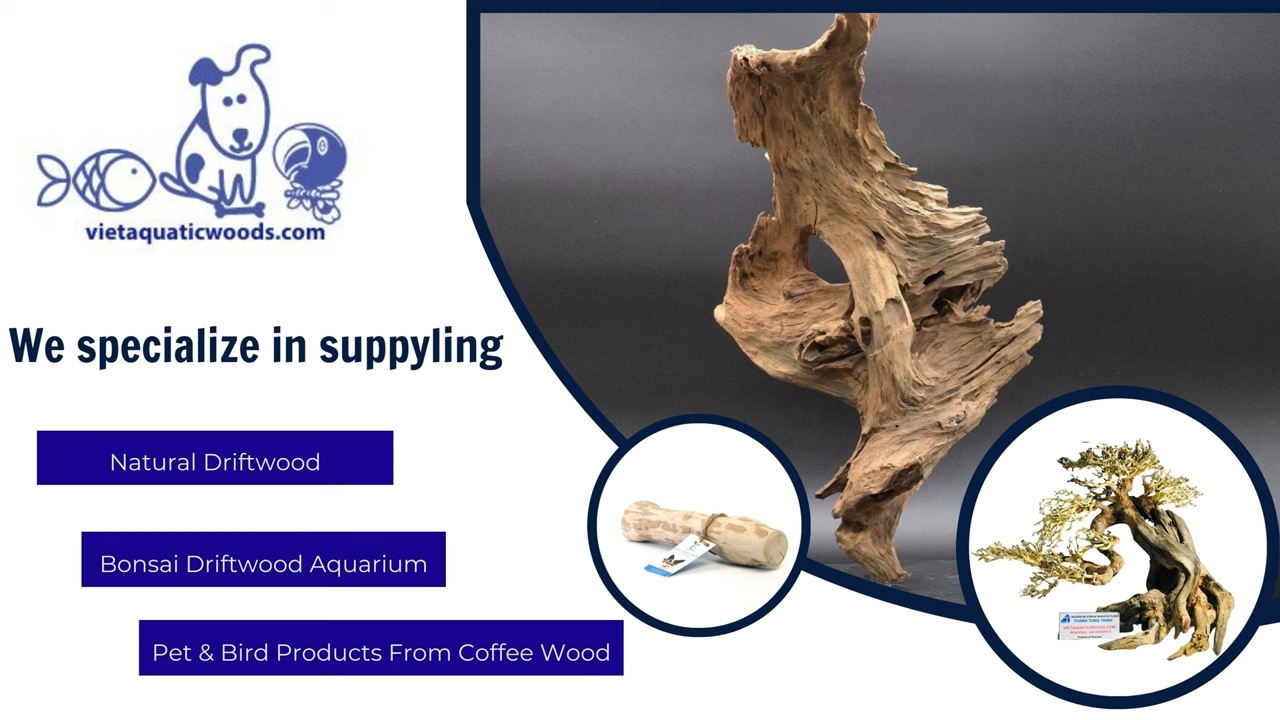 Vietaquaticwoods Vietnam Driftwood Manufacturer - Wholesale Aquarium Driftwood Supplier
