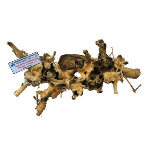 Kimchi Driftwood
