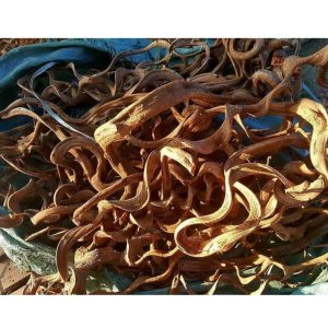 Alternative view of Natural Twisted Vines