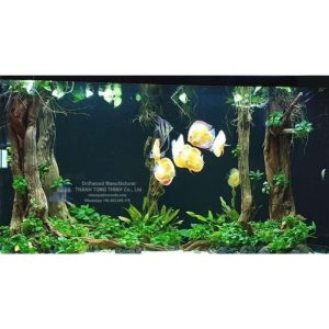 Alternative view of Linh Sam Woods for Aquarium Decor