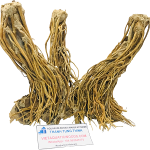 Medium Bonsai Driftwoods