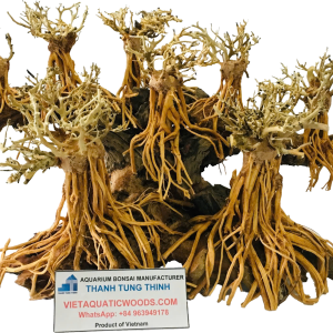 Large and Extra-Large Bonsai Driftwoods