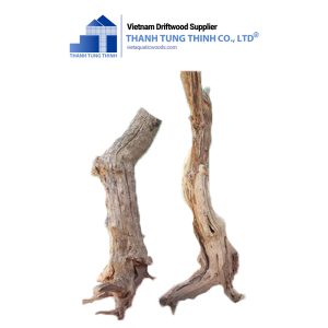 Linh Sam Woods for Aquarium Decor