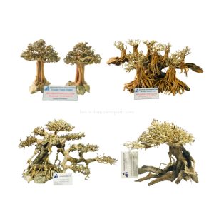 Aquarium Bonsai Driftwoods