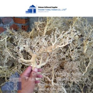 Alternative view of Sansan Woods for Aquarium Decoration