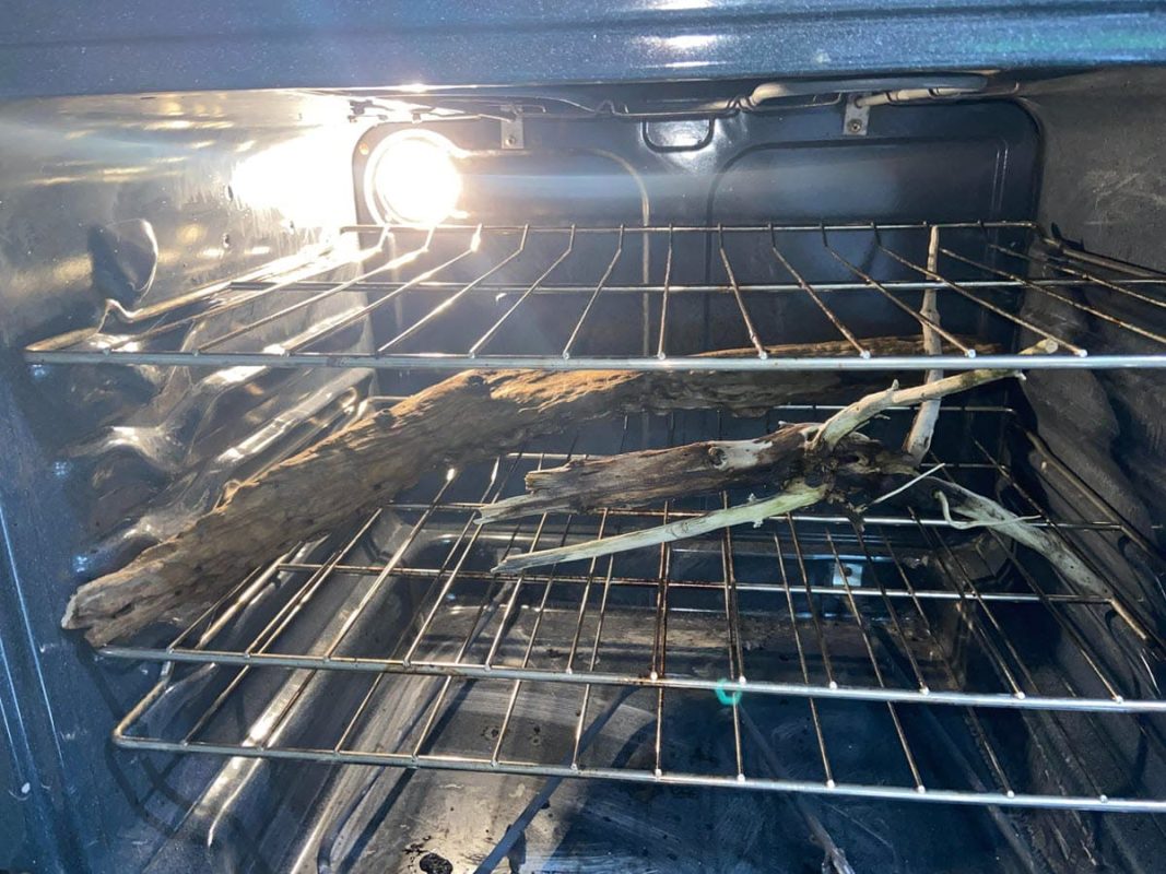 Baking driftwood to kill hidden pests