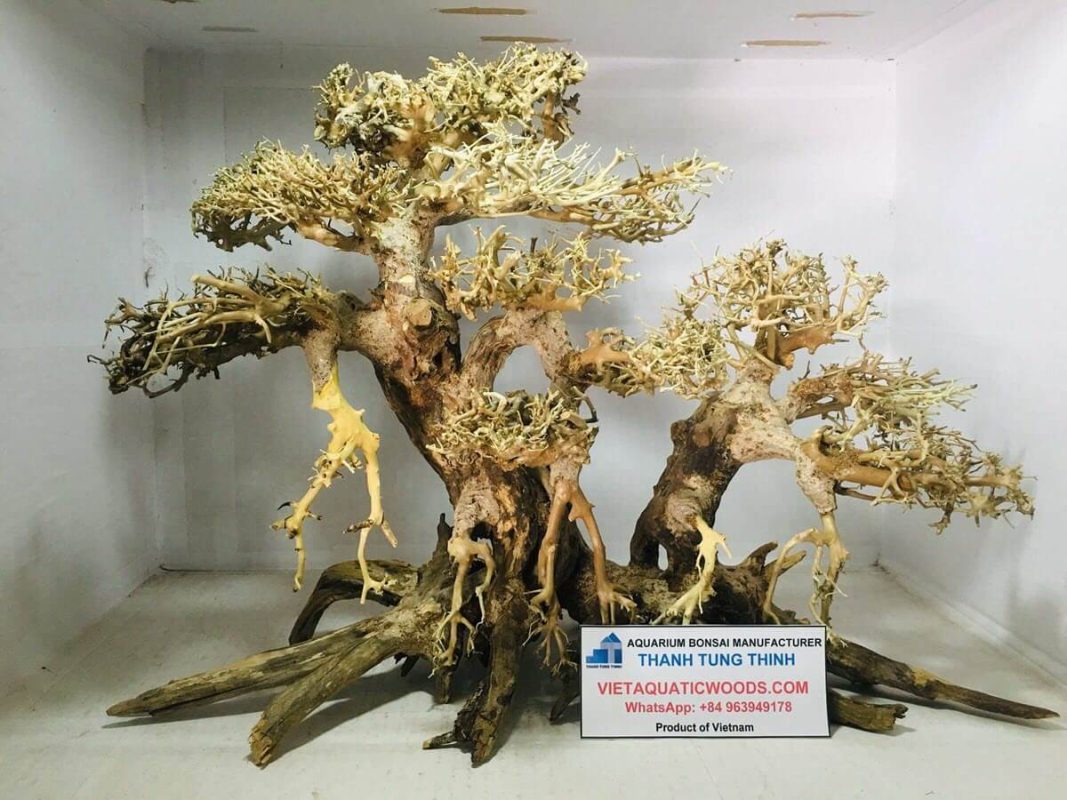 Every piece of bonsai driftwood is non-toxic and safe for aquatic life