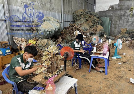 bonsai driftwood supplier