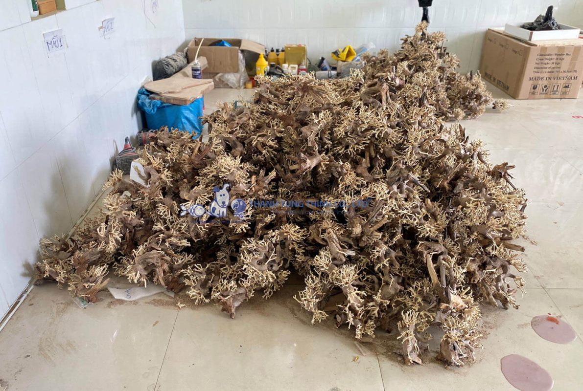 Bonsai driftwood wholesale with strict quality control