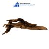 brown core natural woods