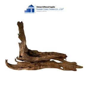 Alternative view of Brown Core Natural Woods For Decoration