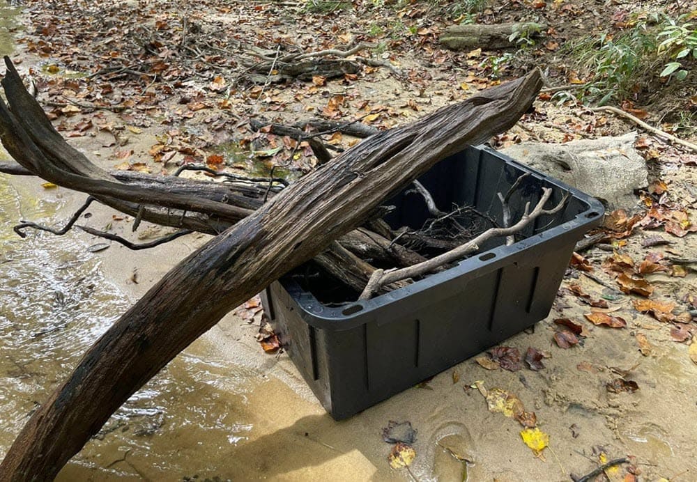 Cleaning driftwood decor