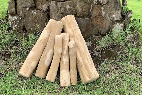 coffee wood dog chews