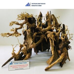 complex design bonsai driftwood