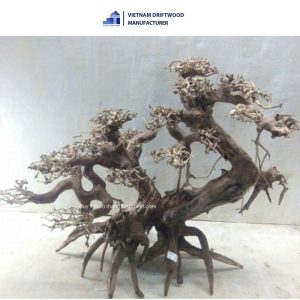 curly large bonsai driftwood