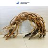 curly trunk bonsai driftwood