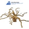 do quyen driftwood 1 1