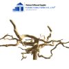 do quyen driftwood 1
