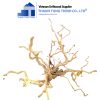 do quyen driftwood 2