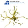 do quyen driftwood 3