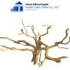 do quyen driftwood 5