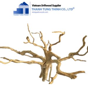 Multi-Branch Do Quyen Woods
