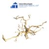 do quyen driftwood 6