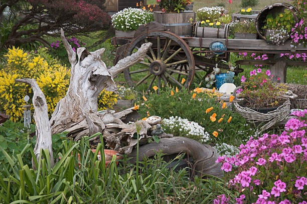Driftwood garden decor