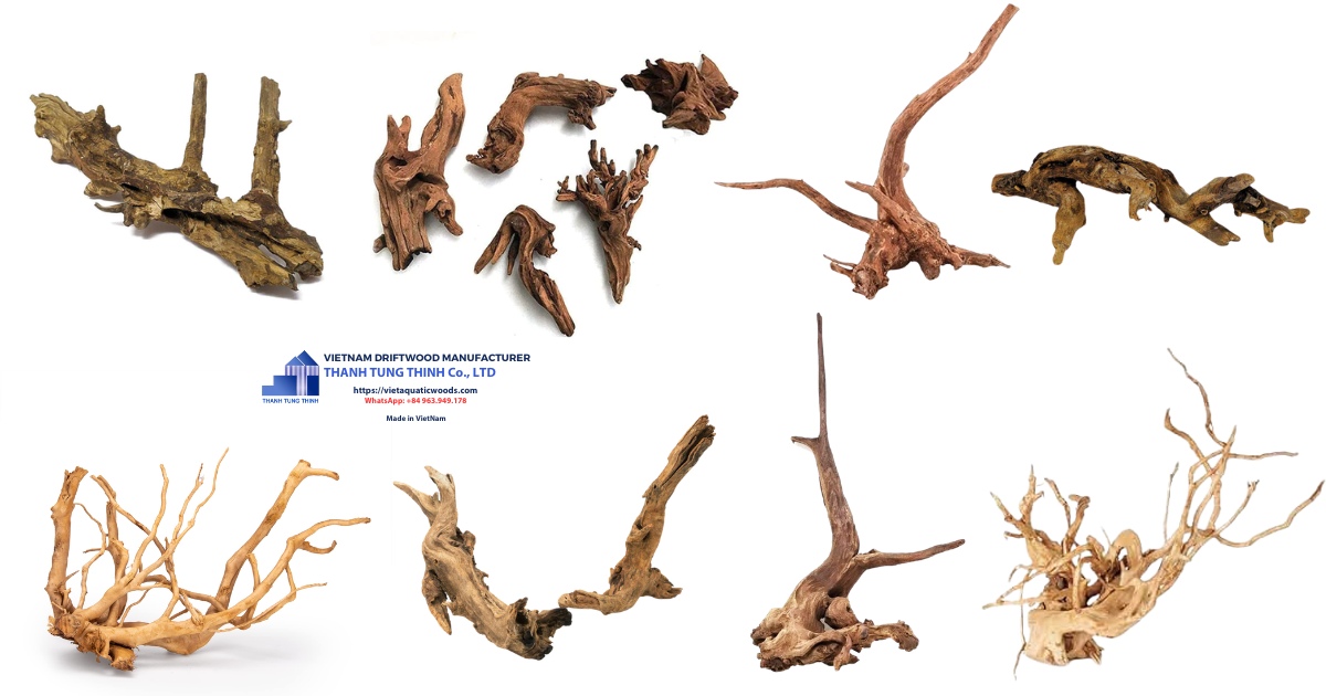 Driftwood has many different shapes and textures
