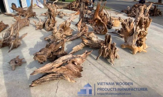 every piece of driftwood is unique
