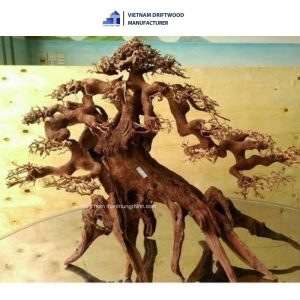 extra-large bonsai driftwood