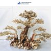 large bonsai driftwood with stones