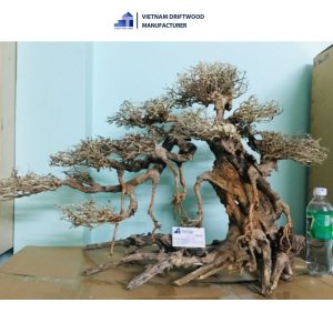 left-tilted bonsai driftwood