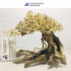 Driftwood bonsai for aquascape and decor fish tank