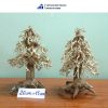 Pine-shaped bonsai driftwood aquatic plants