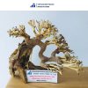 Basic small bonsai driftwood for home decoration