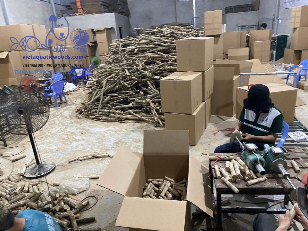 Thanh Tung Thinh is the top manufacturer of coffee wood dog chews from Vietnam